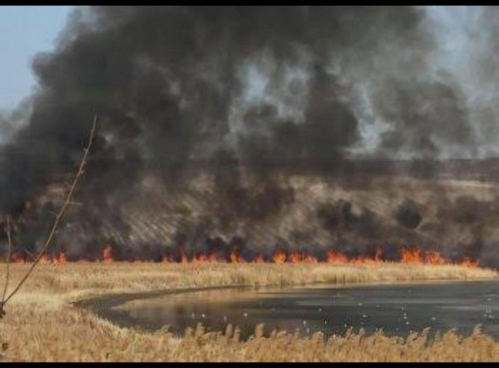 Pompierii au intervenit la lichidarea unui incendiu de vegetație în localitatea Văleni, raionul Cahul