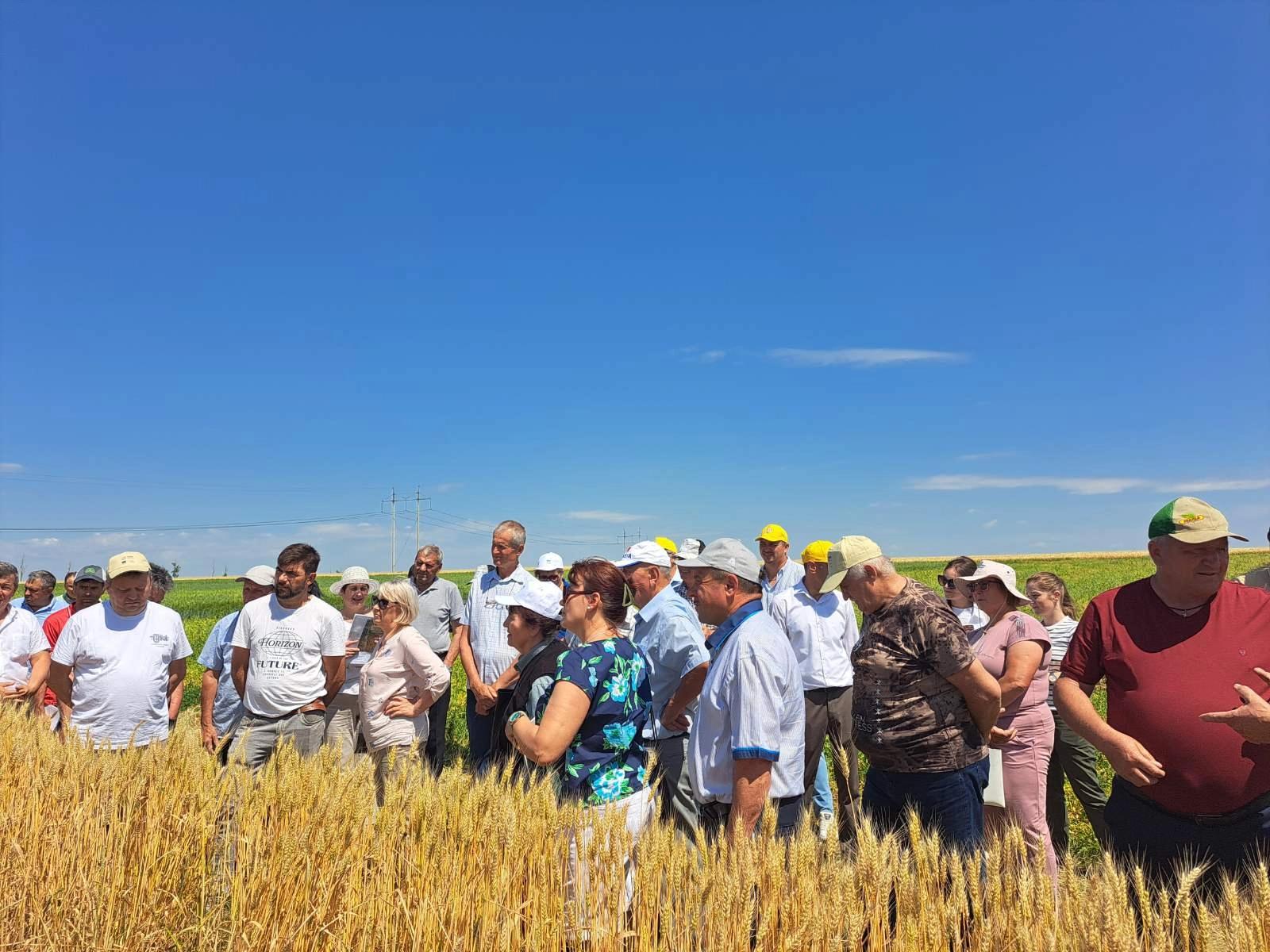 Peste 1500 de agricultori au fost instruţi la Centrul de Consiliere Agricolă și Rurală în prima jumătate a anului 2025