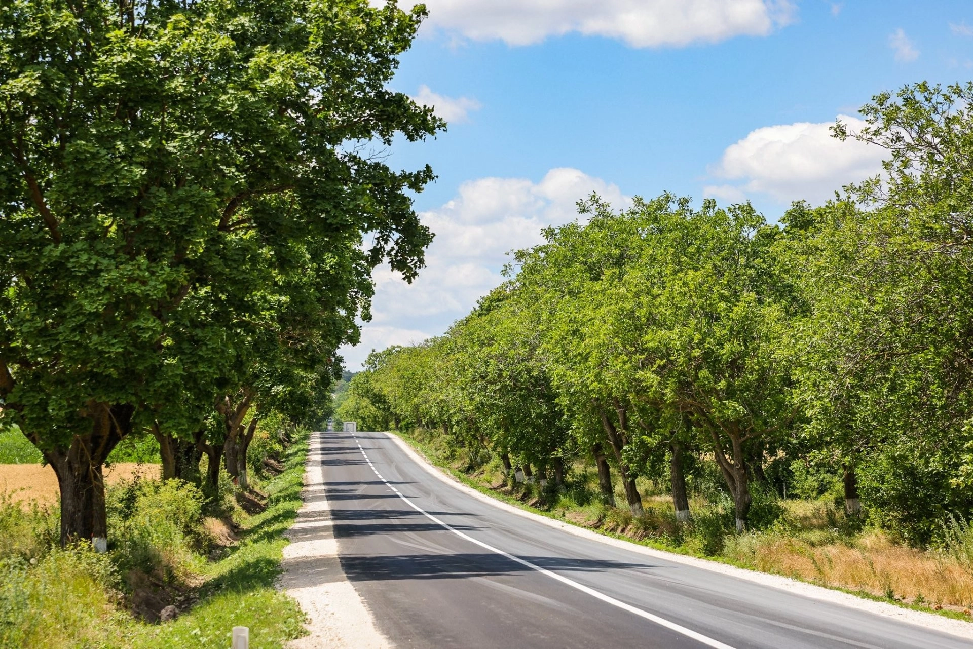 Recean: În ultimii patru ani, au fost dați în exploatare de trei ori mai mulți kilometri de drum decât în precedenții zece ani