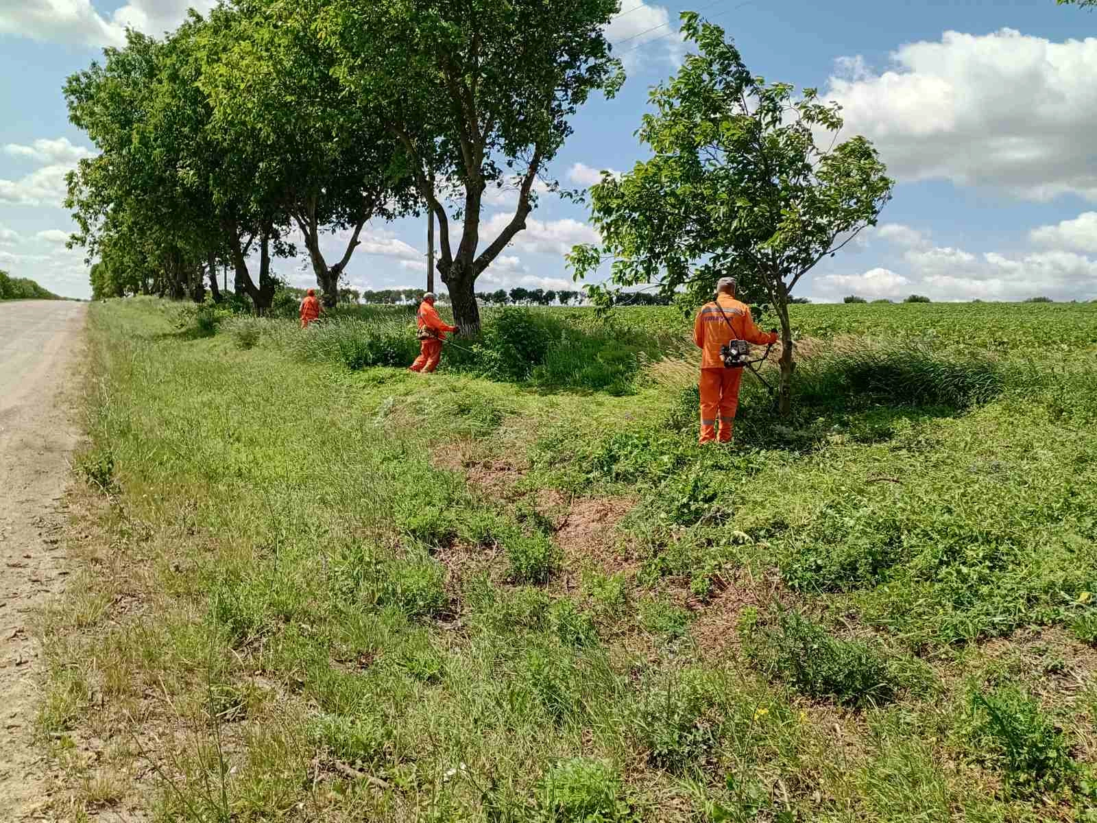 În mai multe raioane ale țării se desfășoară lucrări de întreținere a drumurilor publice