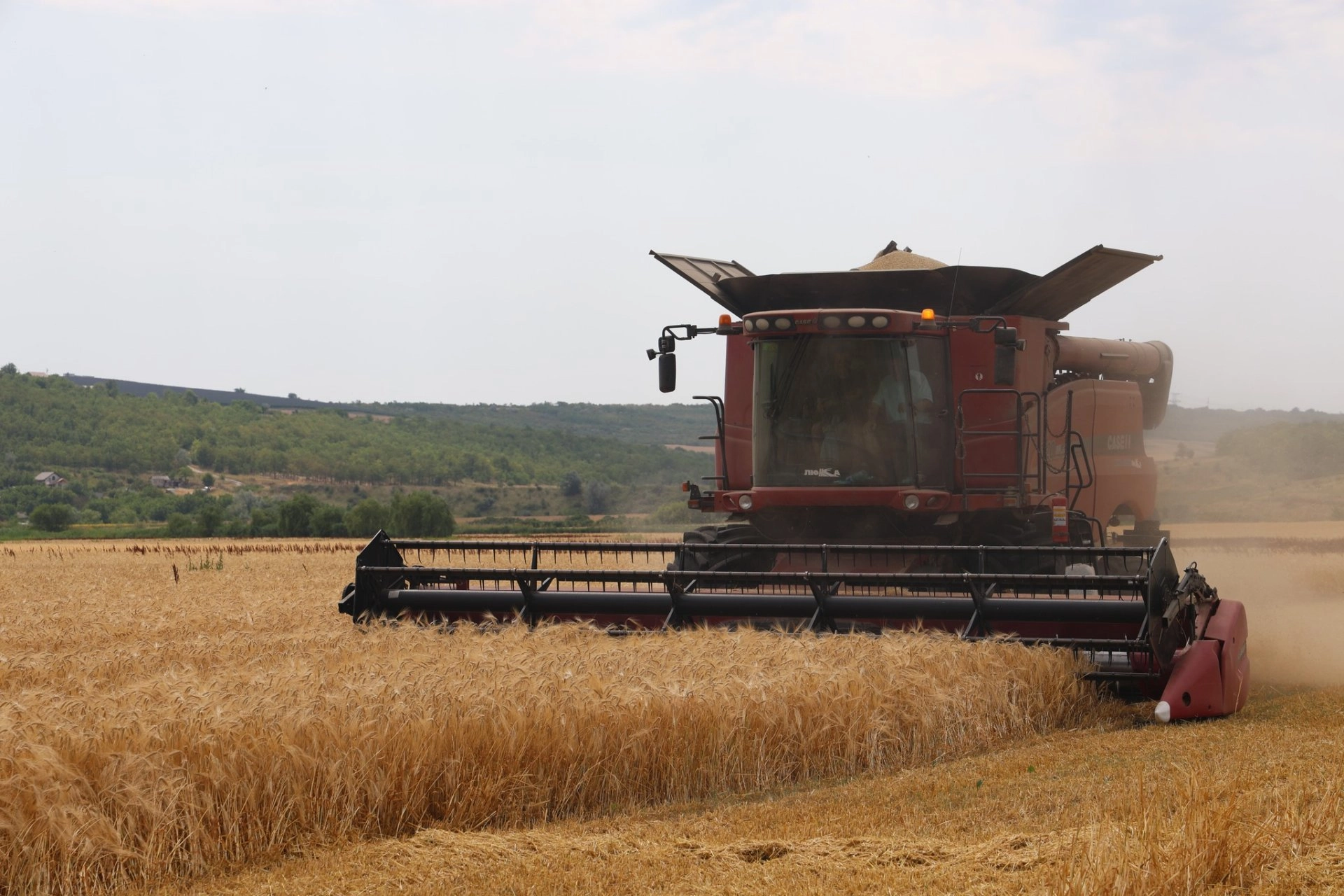 Agricultorii sunt îndemnați să respecte regulile de securitate antiincendiară în perioada de recoltare a cerealelor