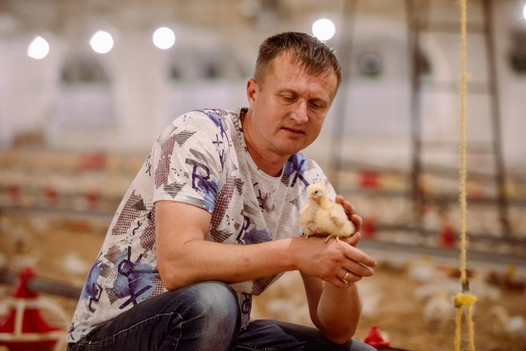 Un fermier din stânga Nistrului își modernizează ferma de pui cu sprijinul UE şi PNUD