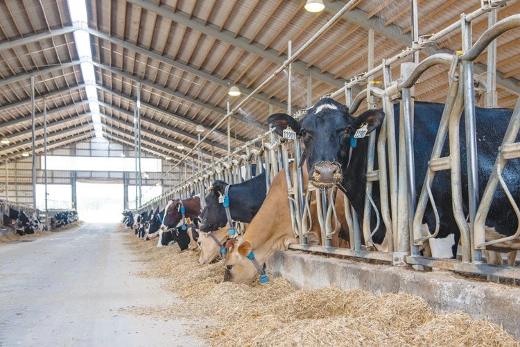 Fermierii pot beneficia de granturi de până la un milion de dolari. Cererile sunt recepționate la sediile AIPA