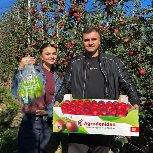 Merele moldovenești ajung pentru prima dată pe piața din Islanda