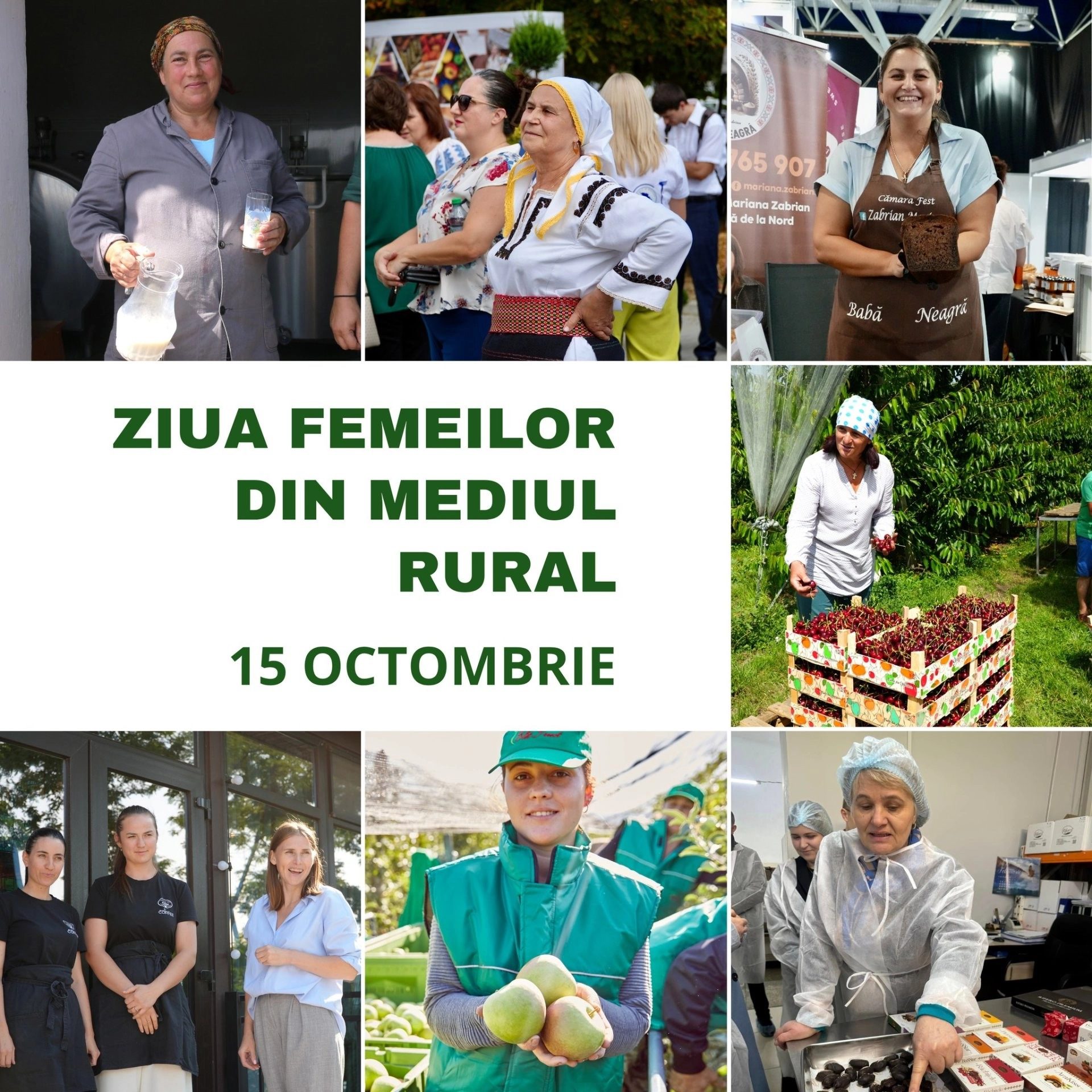 Femeile din R. Moldova, tot mai prezente în agricultură și dezvoltarea comunităților locale