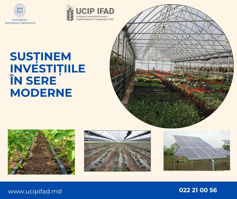 Fermierii pot accesa credite de până la 150 mii de euro pentru modernizarea serelor agricole și implementarea tehnologiilor verzi