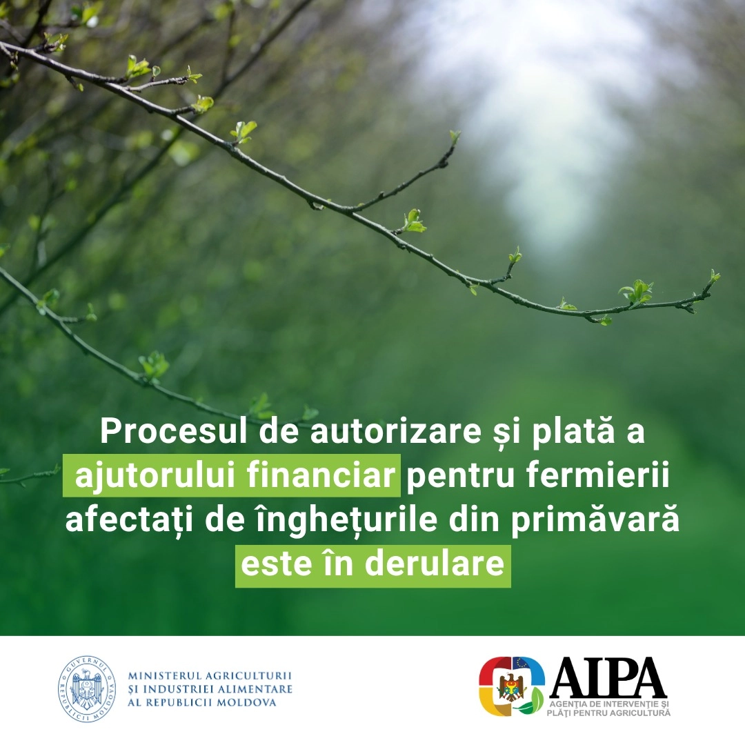 AIPA a început achitarea compensațiilor pentru fermierii afectați de înghețurile din primăvară