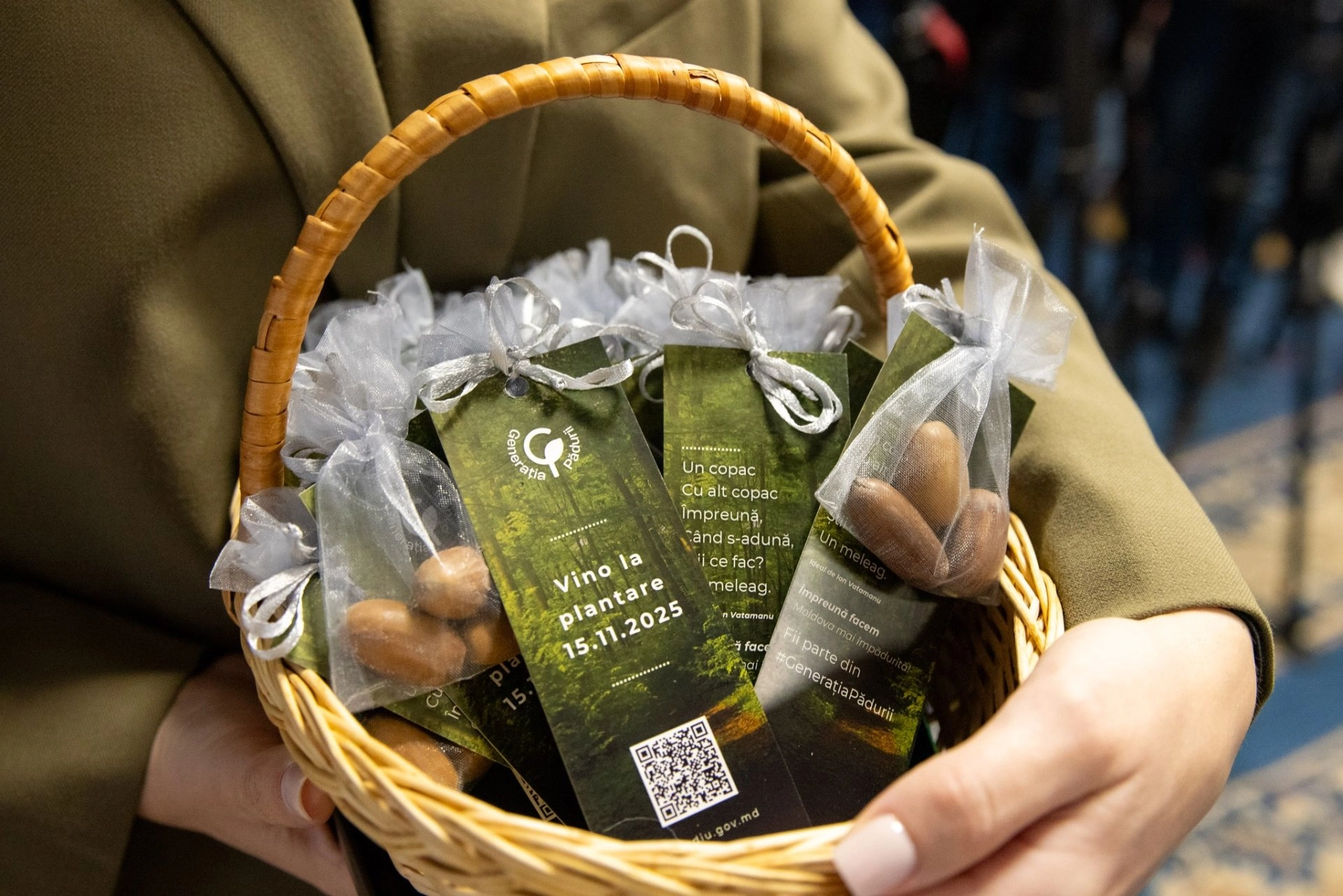 Ministrul Mediului reiterează apelul pentru participarea la campania națională de împădurire ce va demara pe 15 noiembrie