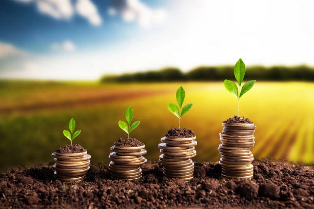 Circa 30 de afaceri agricole au beneficiat deja de sprijin financiar, prin Programul „Facilitatea de Creditare în Agricultură”