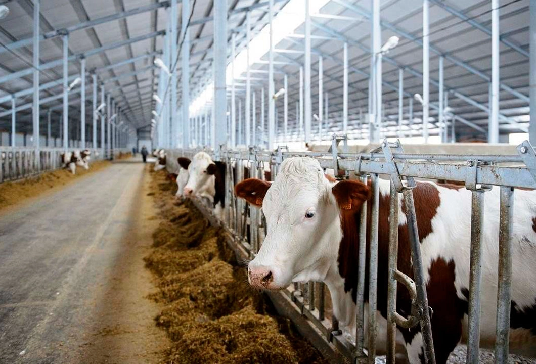 Program de consolidare a capacităților pentru întreprinderile mici și mijlocii, operatori din sectorul alimentar și fermieri, susţinut de UNIDO și UE