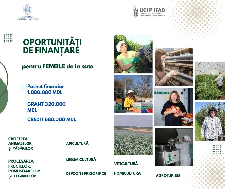 Femeile antreprenoare pot beneficia de granturi de până la 320 de mii de lei