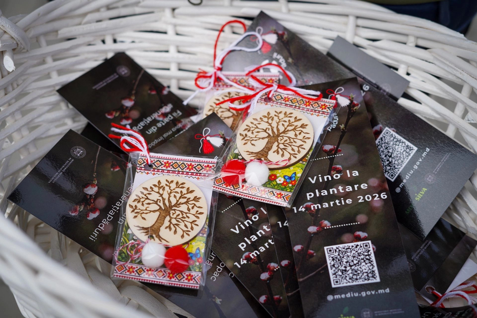 Campanie națională de împădurire: autoritățile invită cetățenii să participe la plantările din 14 martie