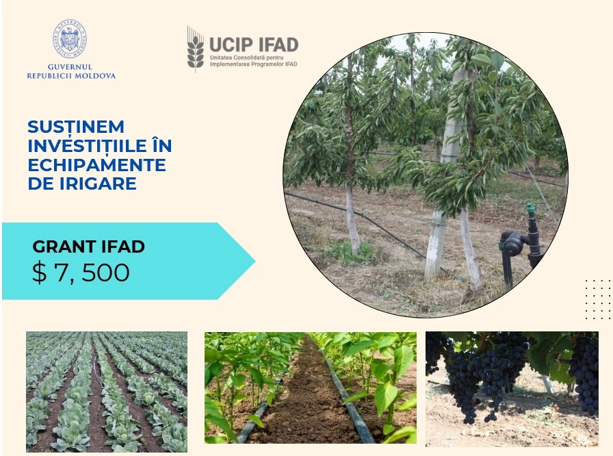 Fermieri din 14 raioane vor beneficia de granturi pentru irigare