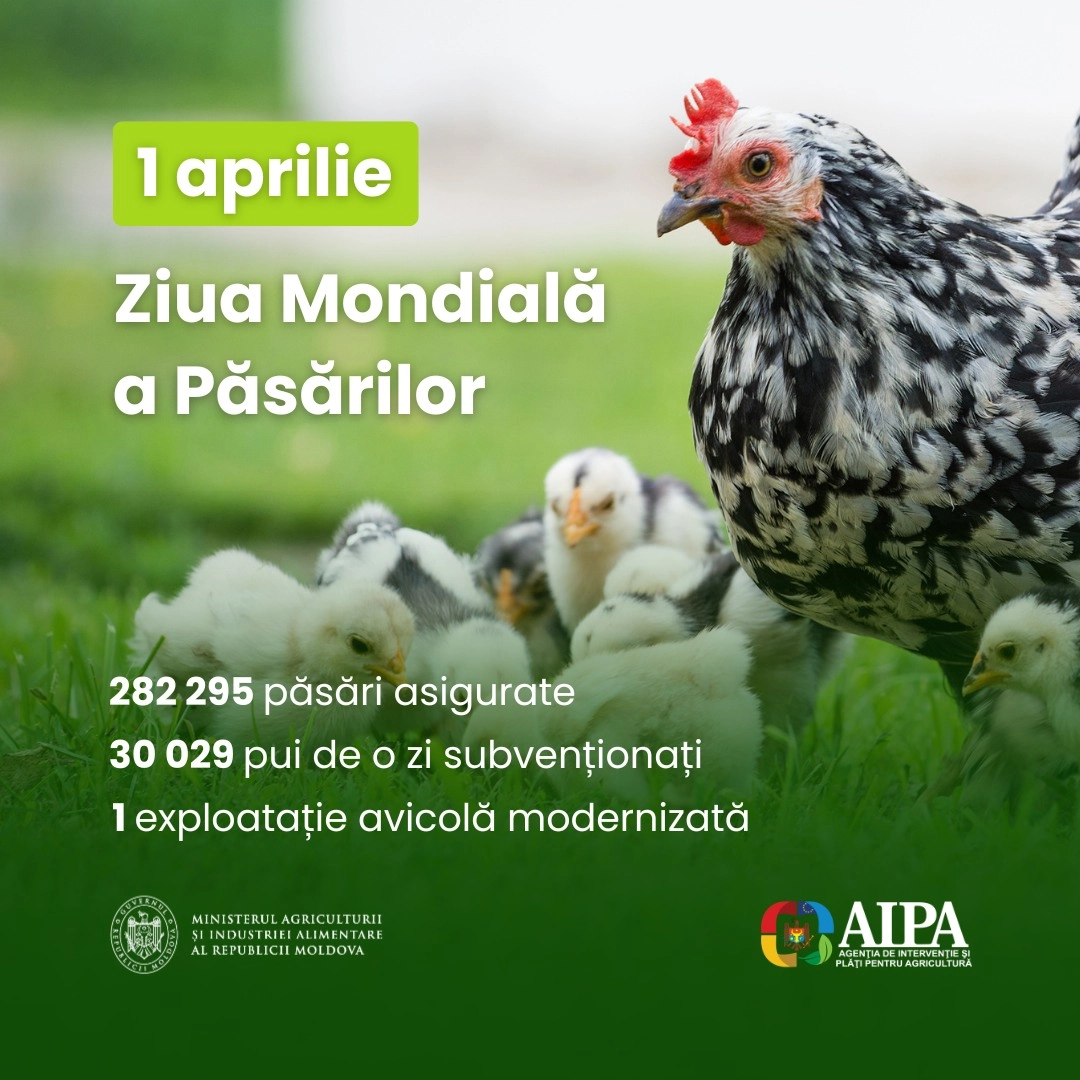 Tradiția de peste un secol de a marca pe 1 aprilie Ziua Păsărilor readuce în atenția publicului importanța conservării biodiversității în Moldova
