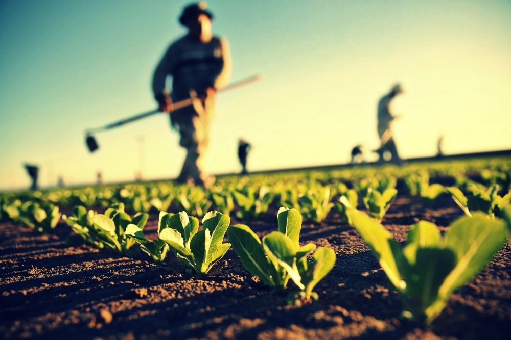 Modificări importante pentru zilieri: registrele pe hârtie vor fi înlocuite cu un sistem electronic