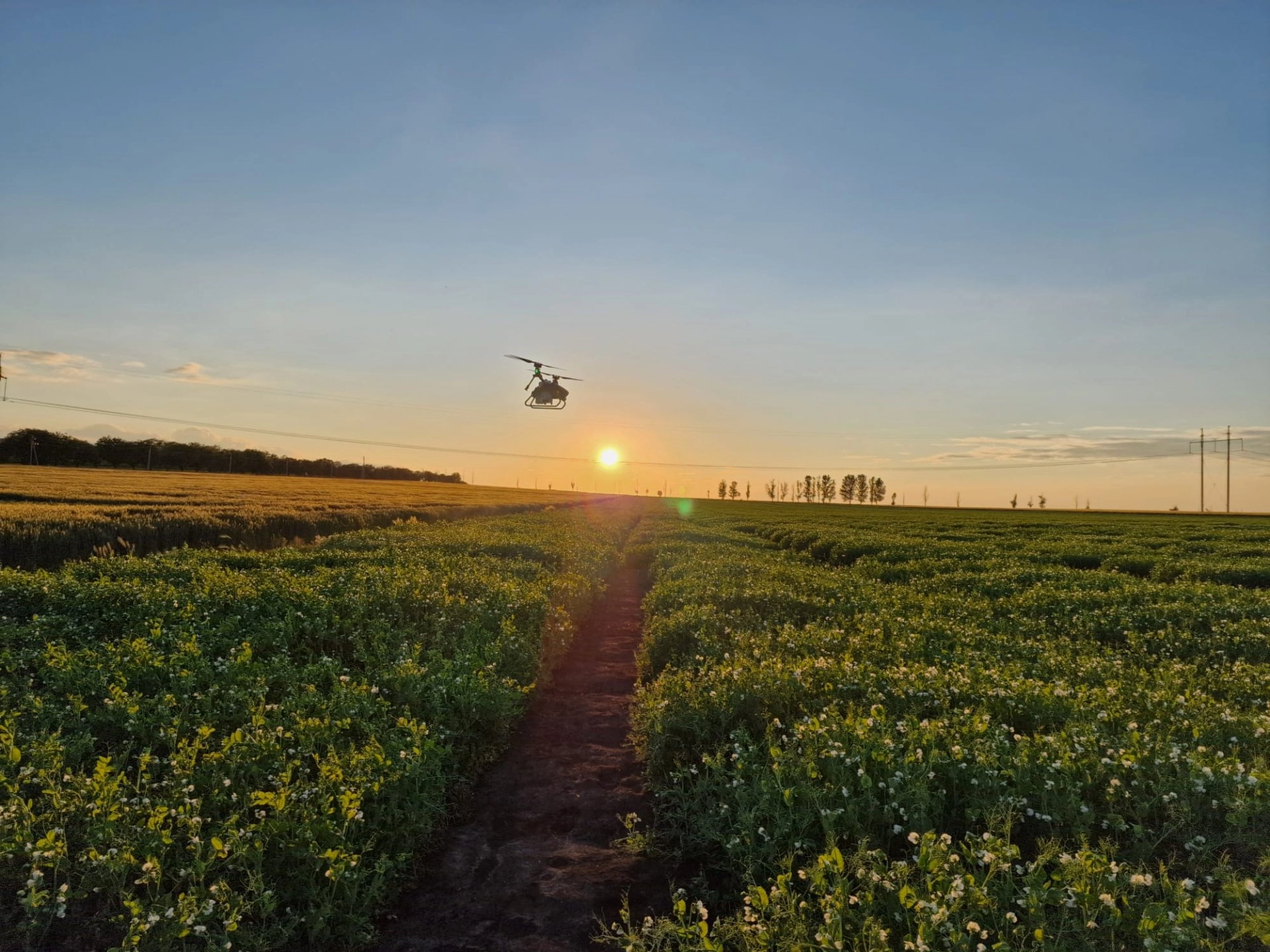 Tehnologia revoluționează agricultura: dronele devin instrumente esențiale în cercetarea agricolă