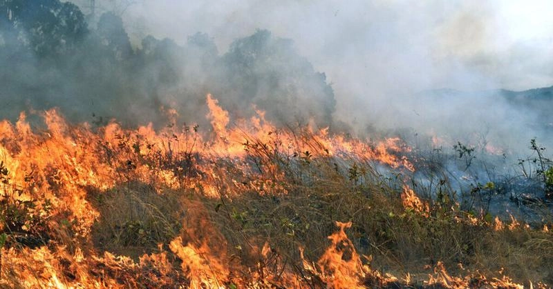 Cod Galben de pericol de incendiu, valabil până la început de septembrie