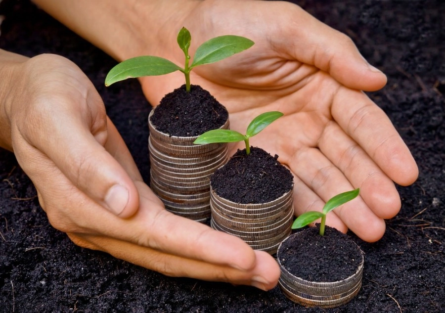 Peste 64 mln de lei au ajuns în conturile fermierilor în perioada 14–18 aprilie