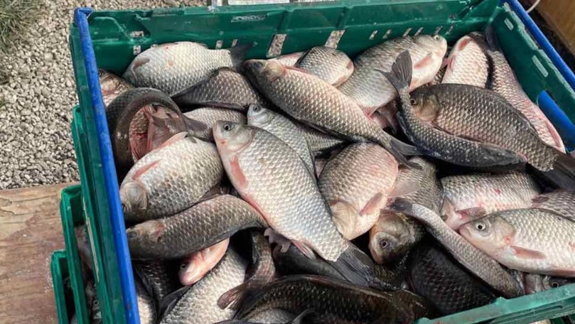 Republica Moldova aderă la Acordul FAO privind combaterea pescuitului ilegal și nedeclarat