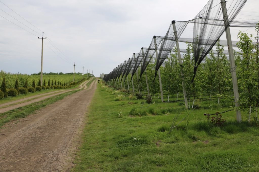 Instalaţiile anti-îngheţ, soluţia pentru livezi în condiţiile primăverilor reci