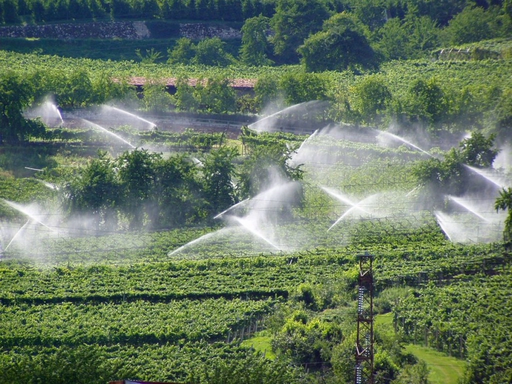 Antreprenori din cinci raioane vor beneficia de granturi pentru modernizarea sistemelor de irigare, cu sprijinul IFAD