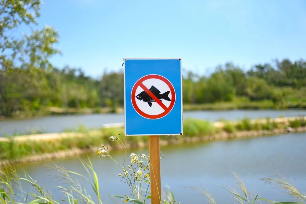 Pescuitul în bazinele naturale ale Republicii Moldova este interzis începând cu 1 aprilie