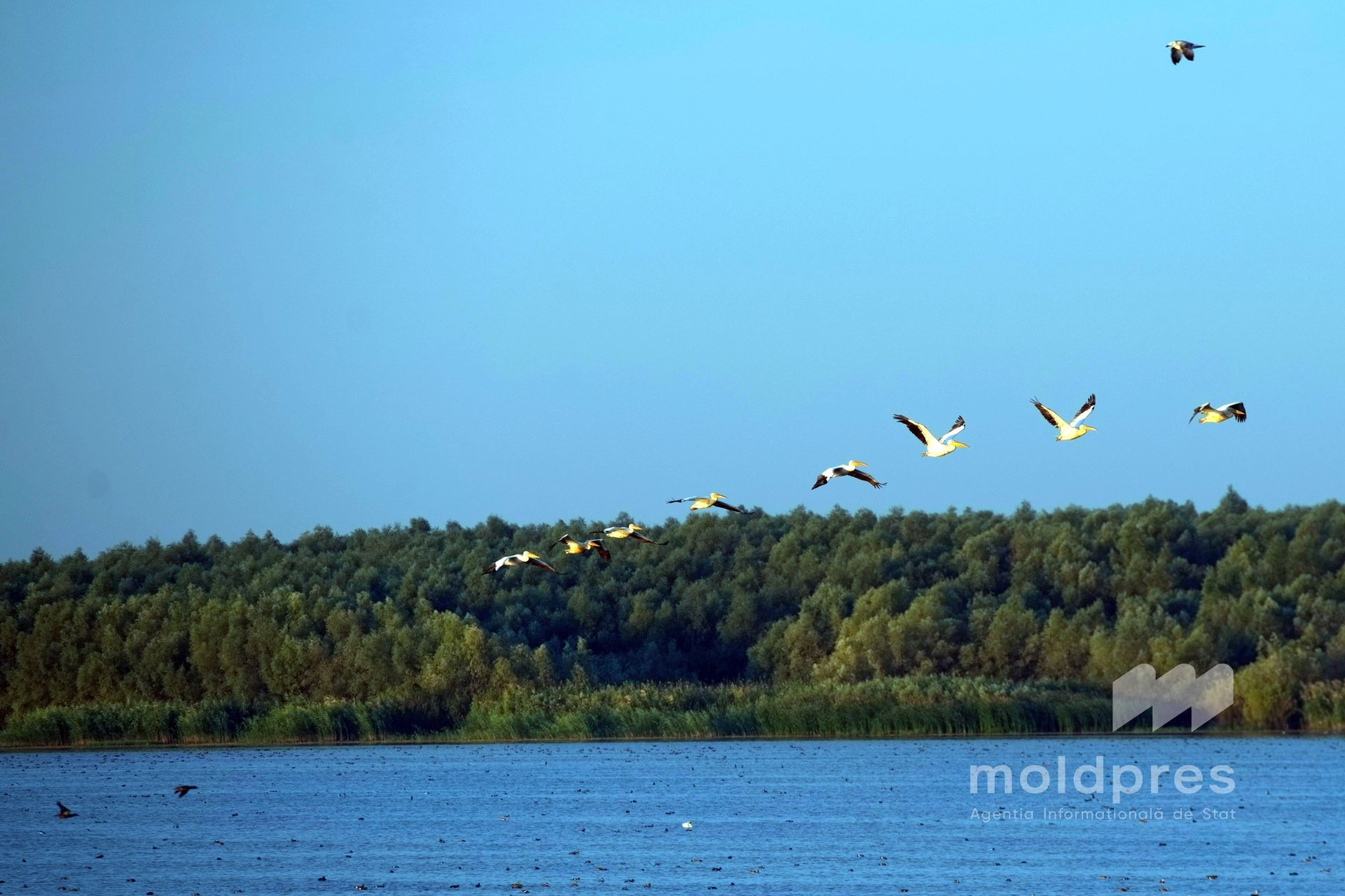 Hidrologii avertizează asupra riscului de inundații în urma ploilor din 17 septembrie