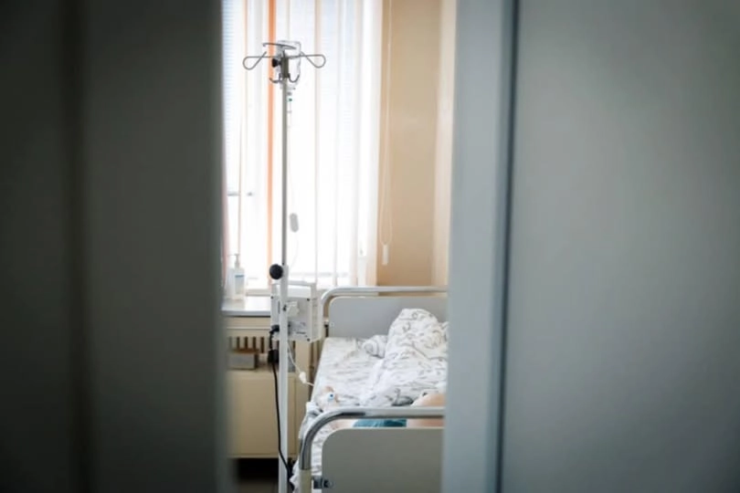 Tratamentele pentru cancer, mai aproape de oameni. Ministra Sănătății anunță deschiderea mai multor centre oncologice raionale până la finele anului