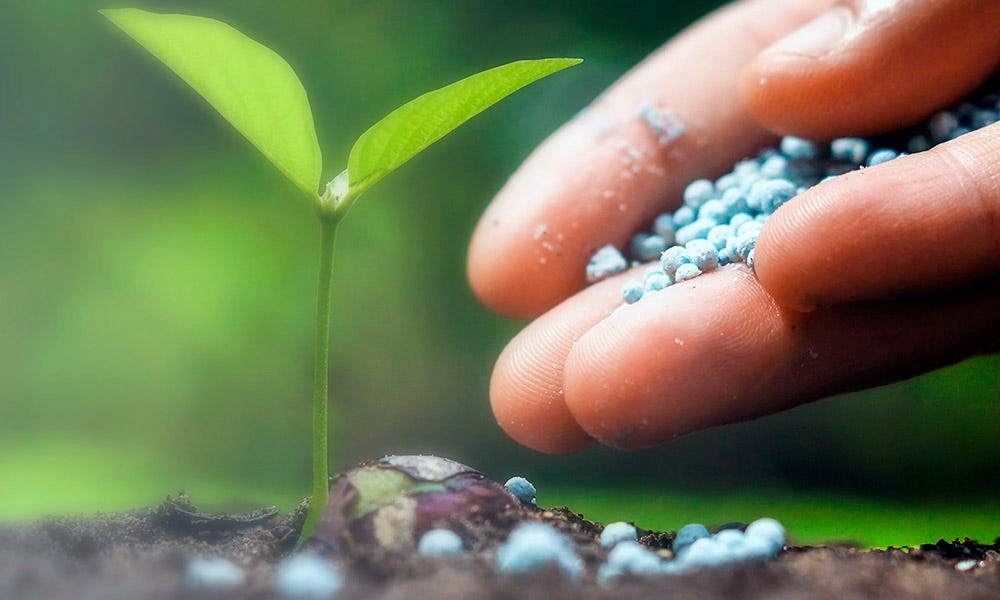 Reguli noi pentru fertilizanți: Guvernul introduce cerințe stricte de siguranță și calitate pentru produsele puse pe piață