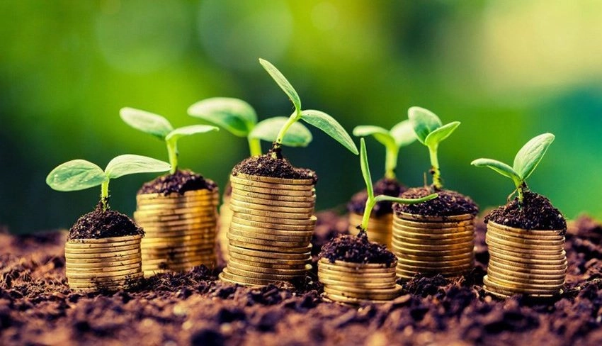 Peste 52 mln de lei au fost autorizați săptămâna trecută spre plată fermierilor sub formă de subvenții