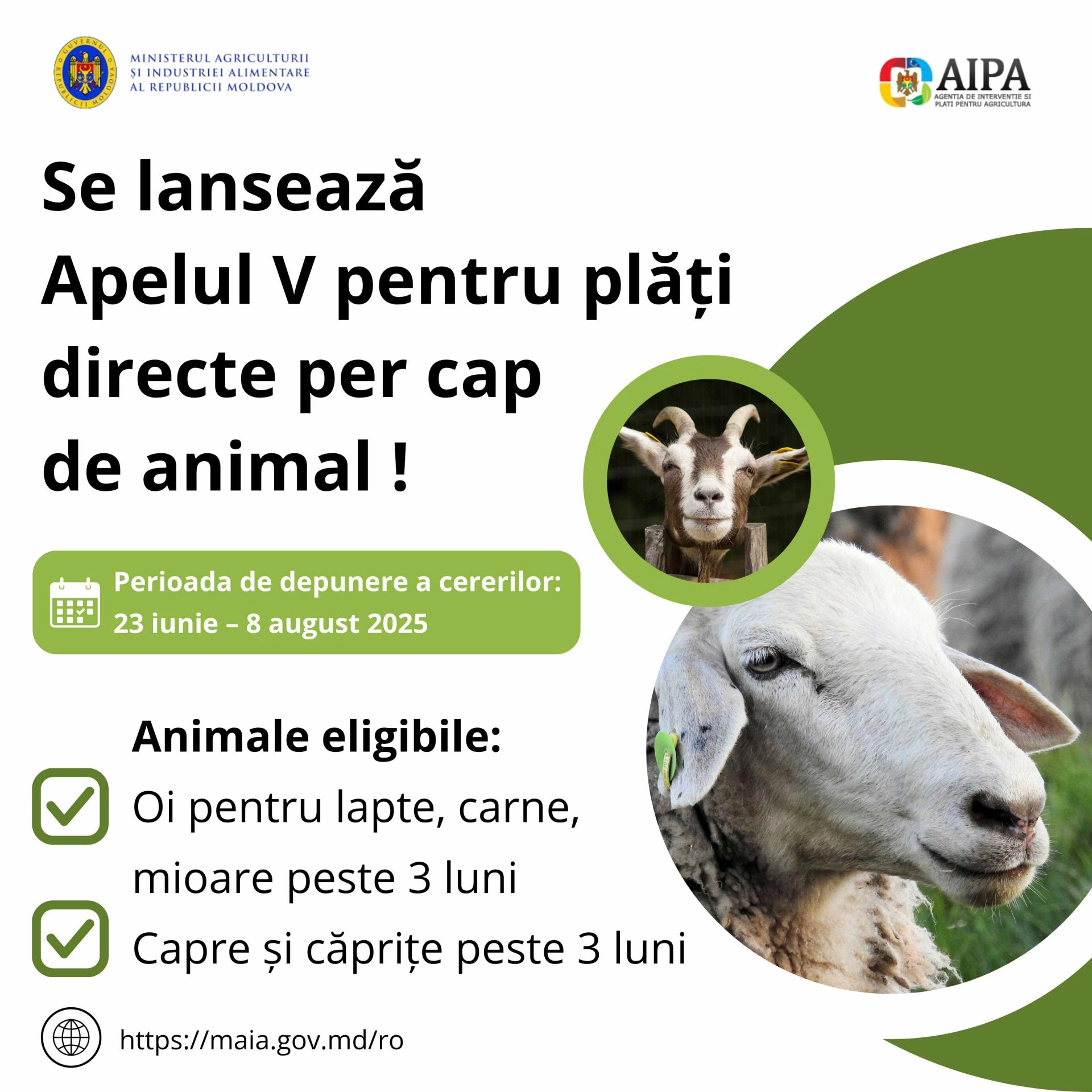 Până la 8 august, crescătorii de oi și capre pot solicita plăți directe per cap de animal