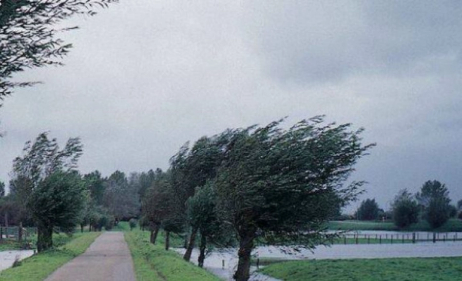 Cod Galben de intensificări ale vântului, valabil astăzi în nordul și centrul țării