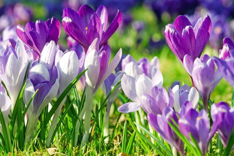 METEO // Cer senin și temperaturi de până la 13 grade, joi, 5 martie