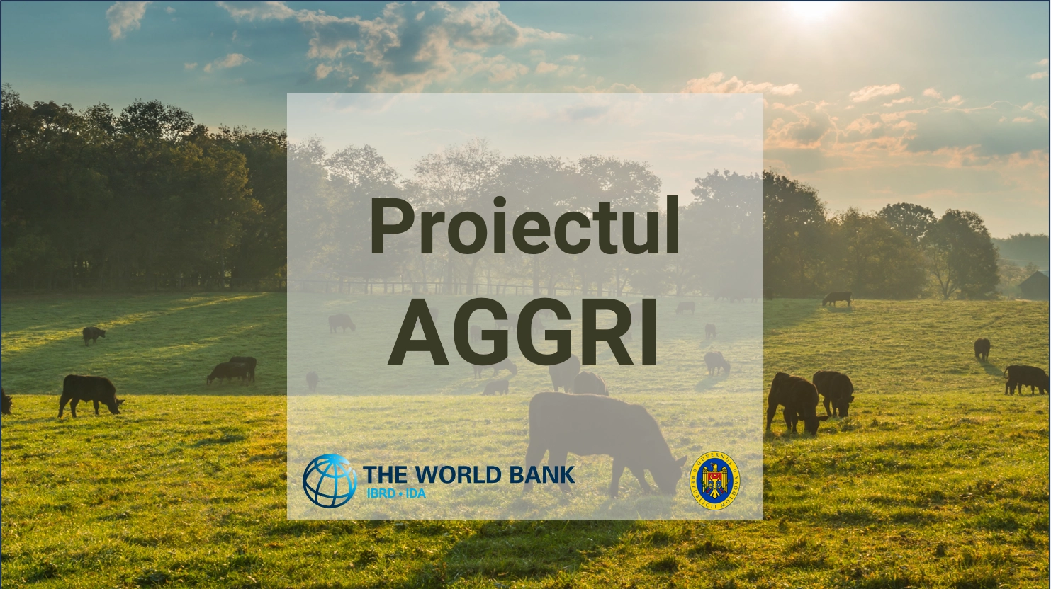 Granturi în valoare de 8,7 mln de dolari solicitate de fermieri prin Proiectul AGGRI