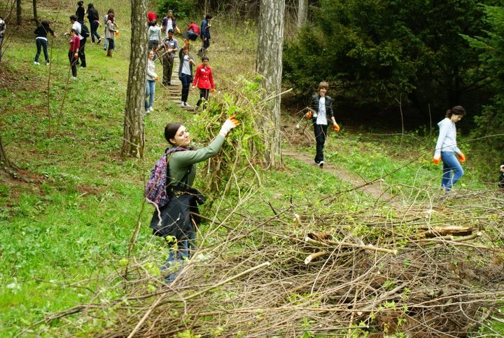 O nouă ediție a campaniei #PădureaCurată va avea loc pe 3 mai