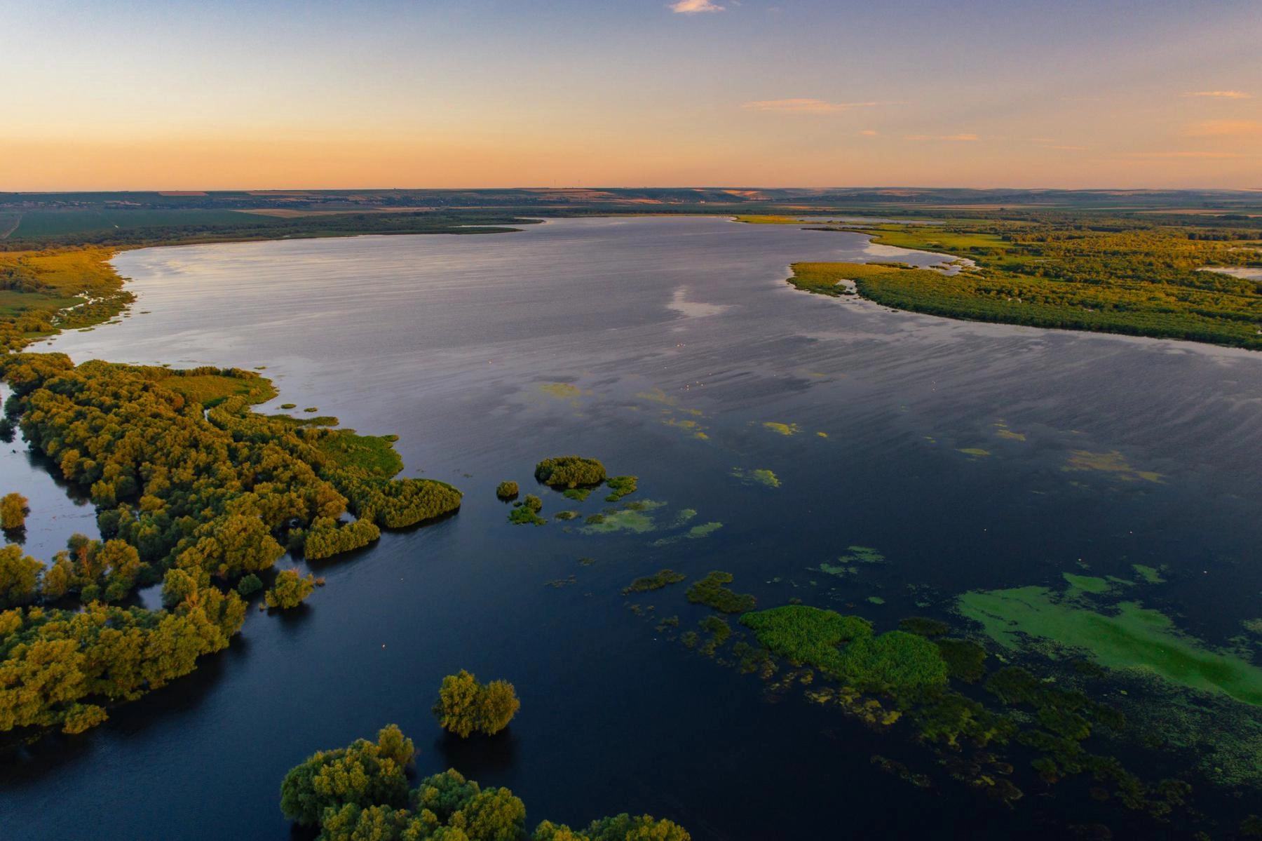 Rezervaţia ,,Prutul de Jos