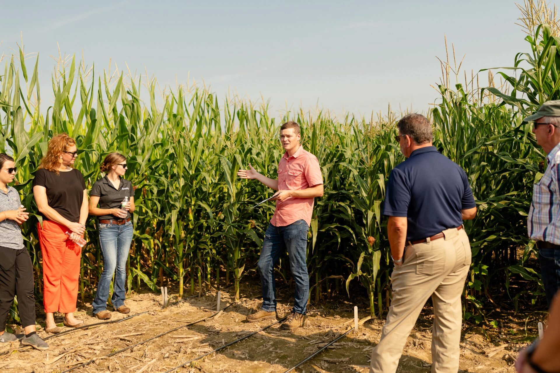 Fermierii din Republica Moldova pot accesa servicii de consiliere agricolă pe întreg ciclul de producere