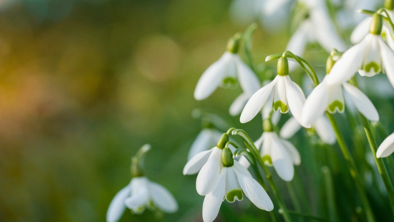 METEO // Ploi de scurtă durată și temperaturi de până la +23 de grade Celsius vor fi joi