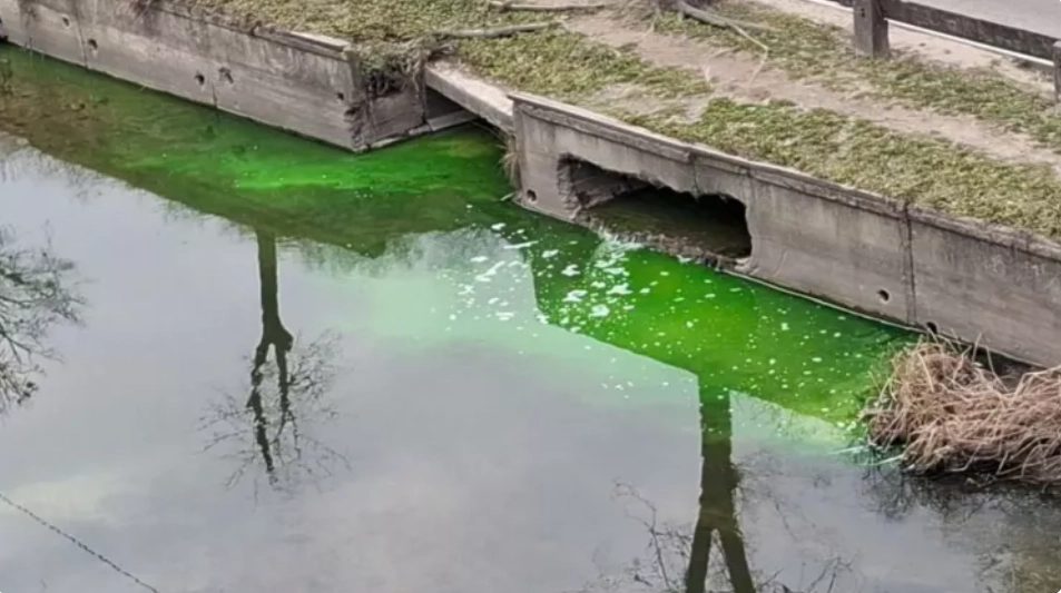 Clarificările Inspectoratului pentru Protecția Mediului: de ce a devenit verde apa râului Bâc?