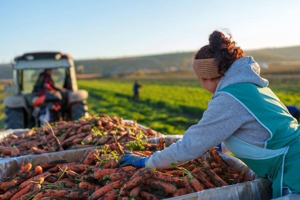 UE și PNUD lansează în Moldova un nou proiect pentru digitalizarea agriculturii și crearea de locuri de muncă decente în mediul rural
