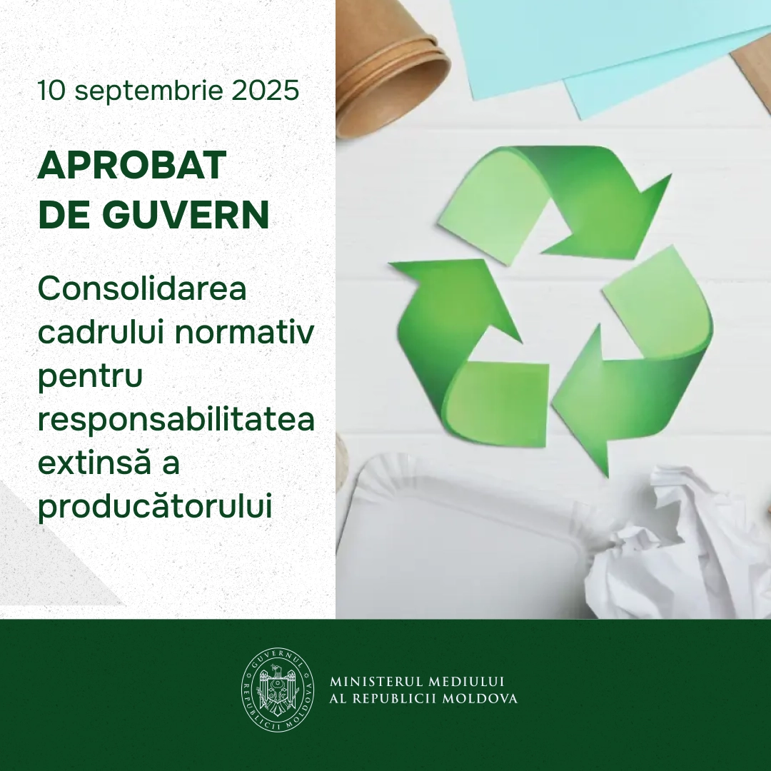 Noi reguli pentru gestionarea deșeurilor, cu sistem REP mai clar și eficient, aprobate de Executiv