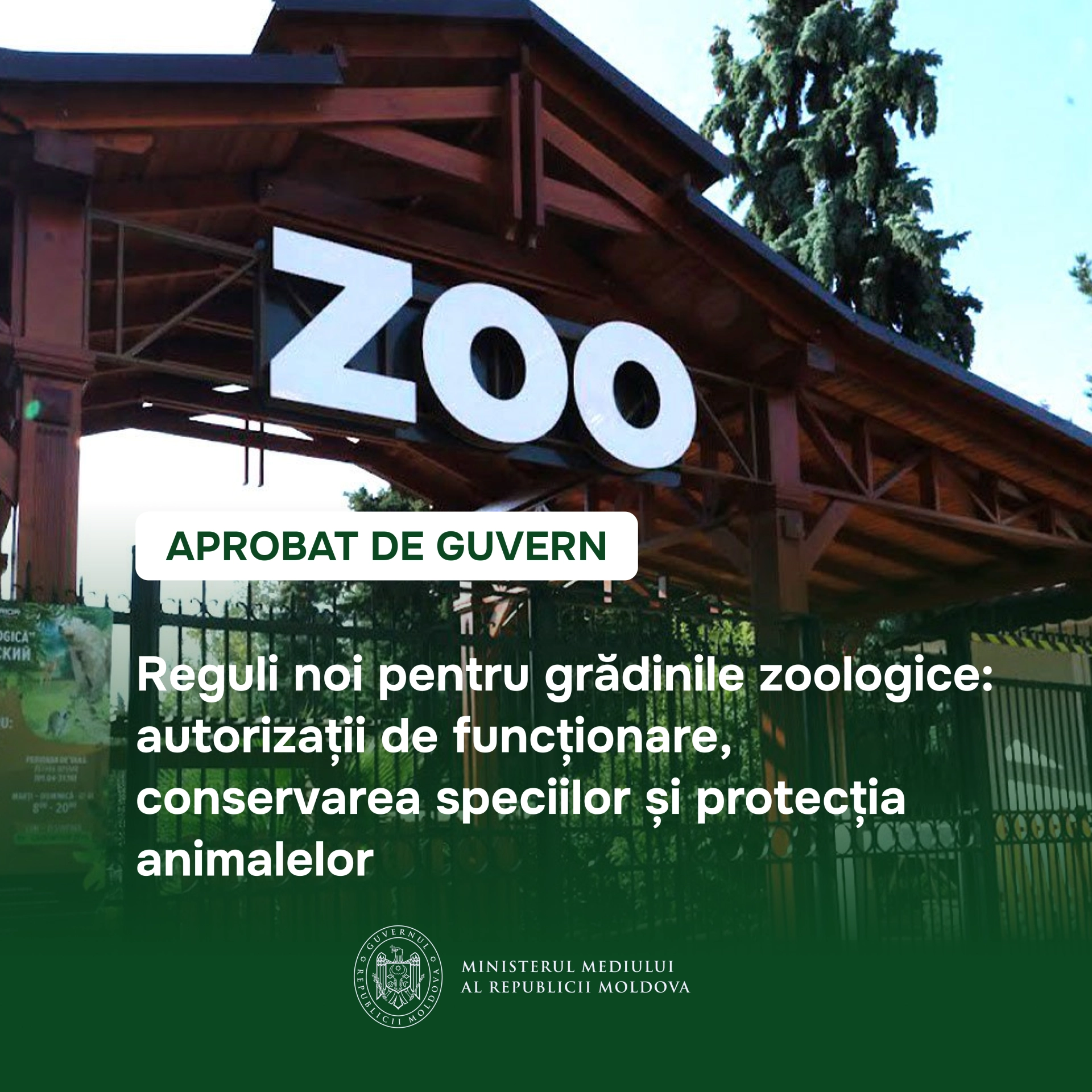 Reguli noi pentru grădinile zoologice: autorizare obligatorie, controale periodice și programe educaționale