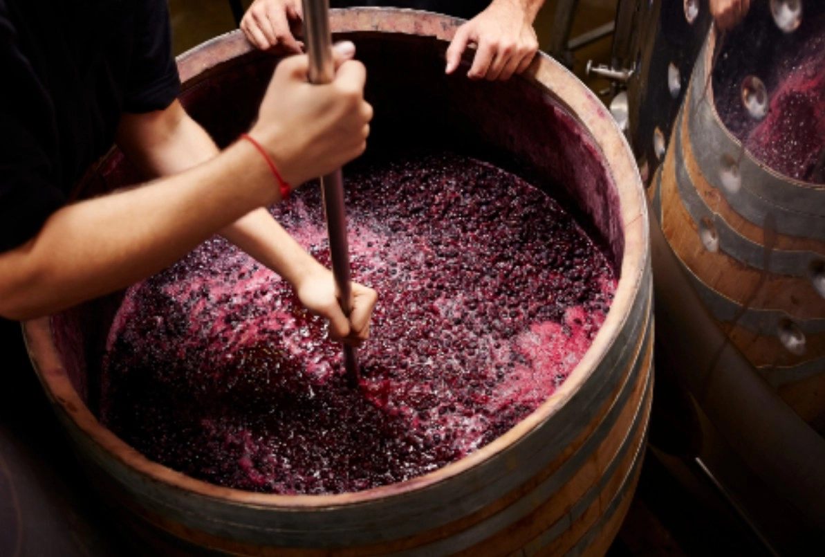 Fermentarea vinului poate ucide. Recomandările IGSU pentru prevenirea tragediilor