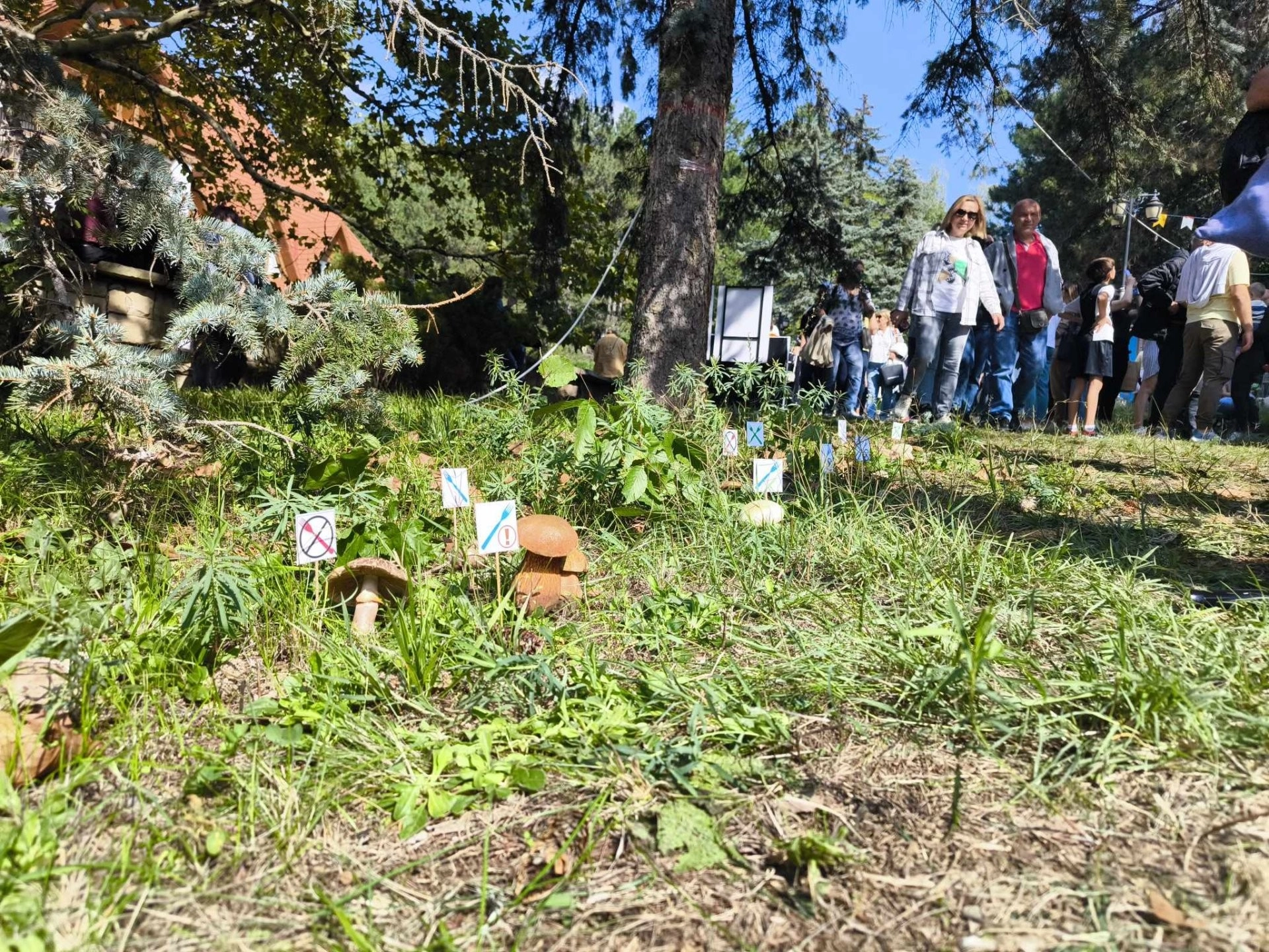 Festivalul Pădurilor: Ministerul Mediului explică cum va fi organizat transportul pentru vizitatori