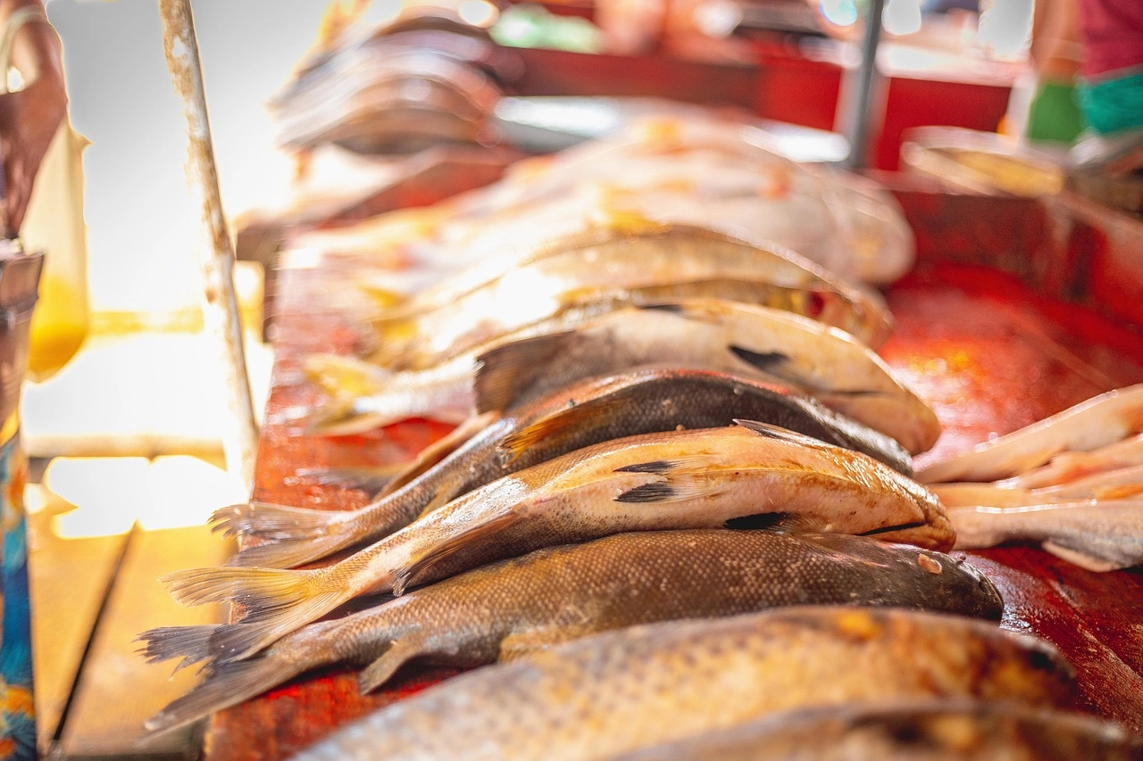 Piața peștelui din R. Moldova va fi mai bine organizată, conform unui nou regulament stabilit de Guvern