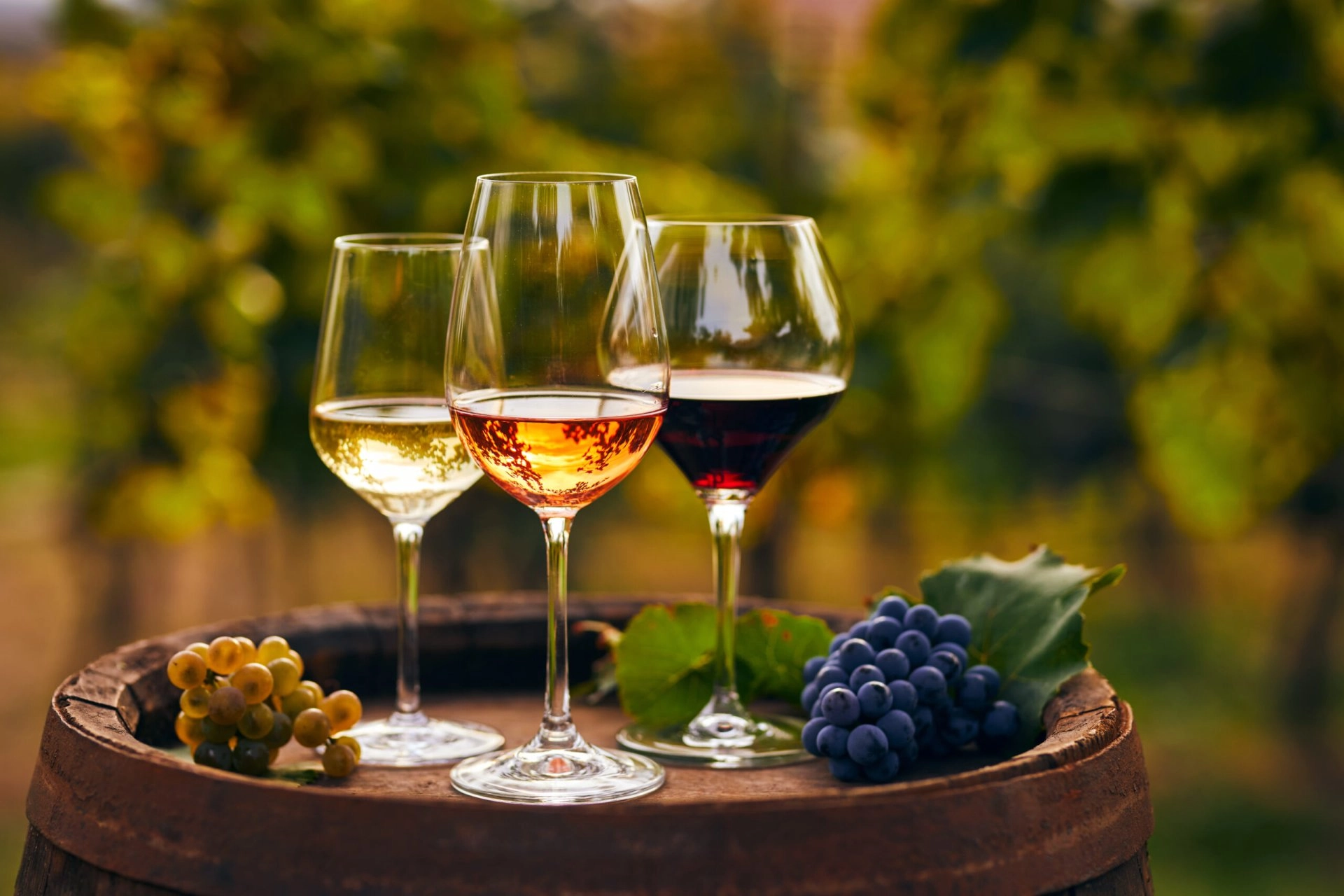 Șocurile climatice afectează producția globală de vin în 2025