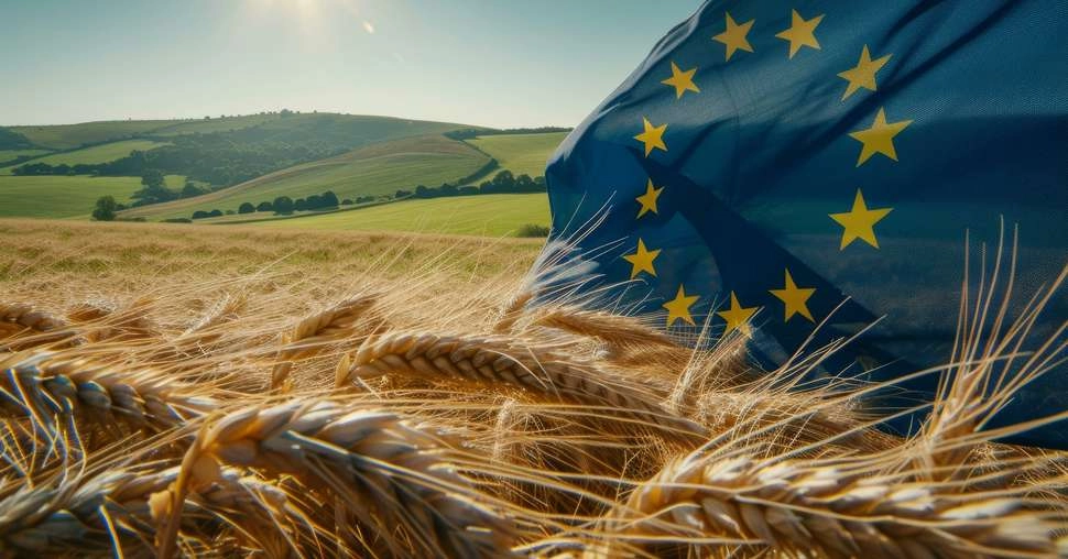 Aderare la UE// Guvernul a aprobat prezentările de țară pentru două capitole elaborate de Ministerul Agriculturii