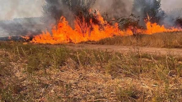 Cod galben de pericol de incendii de vegetație în mai multe regiuni ale țării