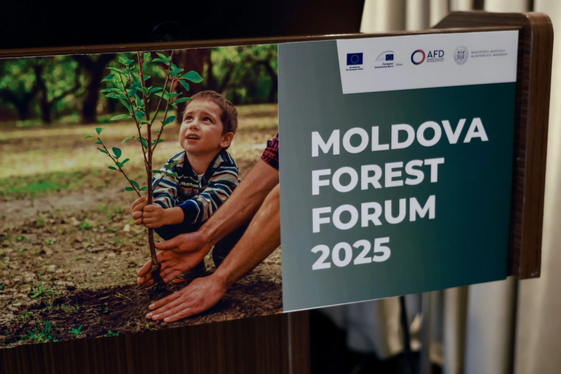 Forumul Național al Împăduririi a prezentat realizările și contribuțiile donatorilor internaționali pentru reabilitarea și extinderea pădurilor