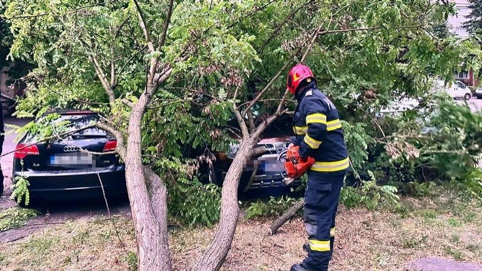 Cod galben de vânt: autoritățile au emis recomandări de siguranță pentru populație